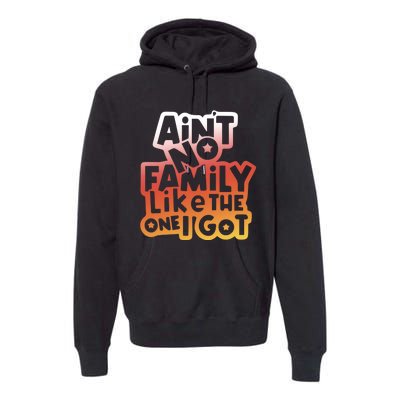 Cute Family Saying AinT No Family Like The One I Got Premium Hoodie