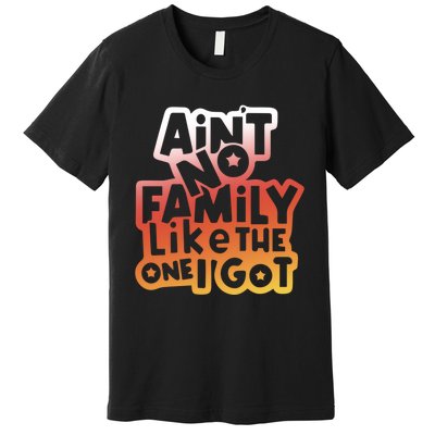 Cute Family Saying AinT No Family Like The One I Got Premium T-Shirt