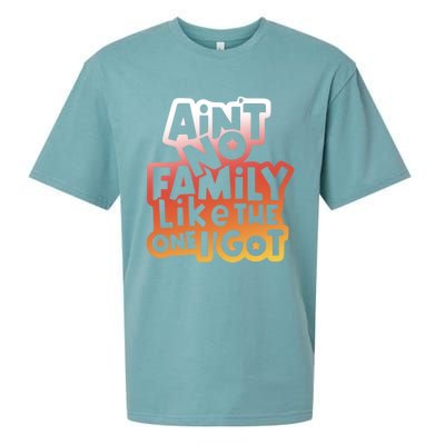 Cute Family Saying AinT No Family Like The One I Got Sueded Cloud Jersey T-Shirt