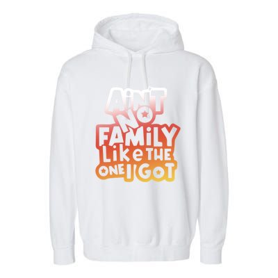 Cute Family Saying AinT No Family Like The One I Got Garment-Dyed Fleece Hoodie