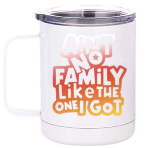 Cute Family Saying AinT No Family Like The One I Got 12 oz Stainless Steel Tumbler Cup