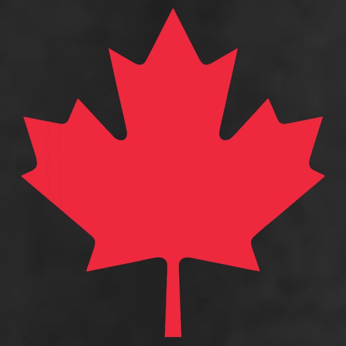 Canadian Flag Shirts Red Maple Leaf Canada Day 7 Panel Mesh Trucker Snapback Hat