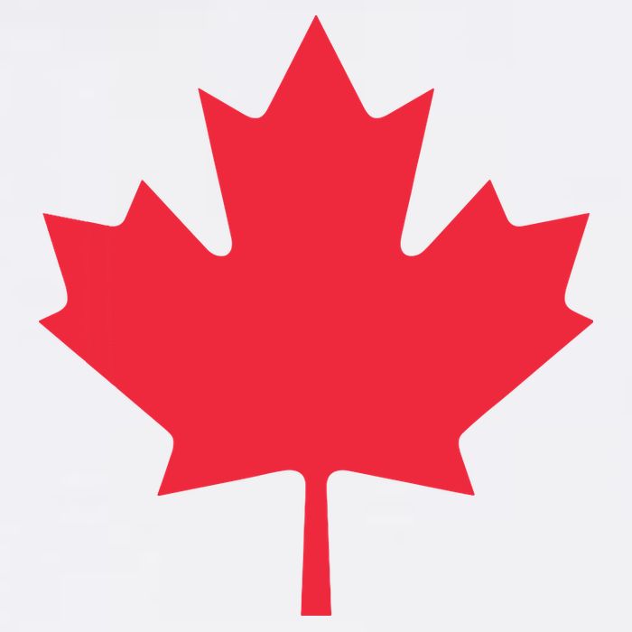 Canadian Flag Shirts Red Maple Leaf Canada Day Cool Comfort Performance Bucket Hat