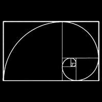Cool Fibonacci Spiral Trendy Math Lover Science Sustainable Bucket Hat