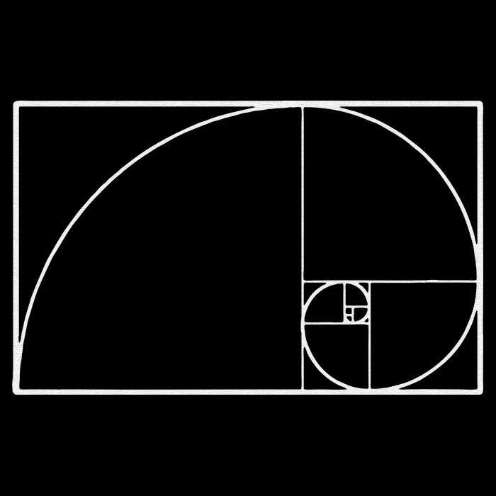 Cool Fibonacci Spiral Trendy Math Lover Science Sustainable Bucket Hat