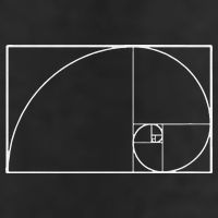 Cool Fibonacci Spiral Trendy Math Lover Science 25L Jumbo Tote