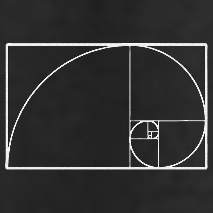 Cool Fibonacci Spiral Trendy Math Lover Science 25L Jumbo Tote