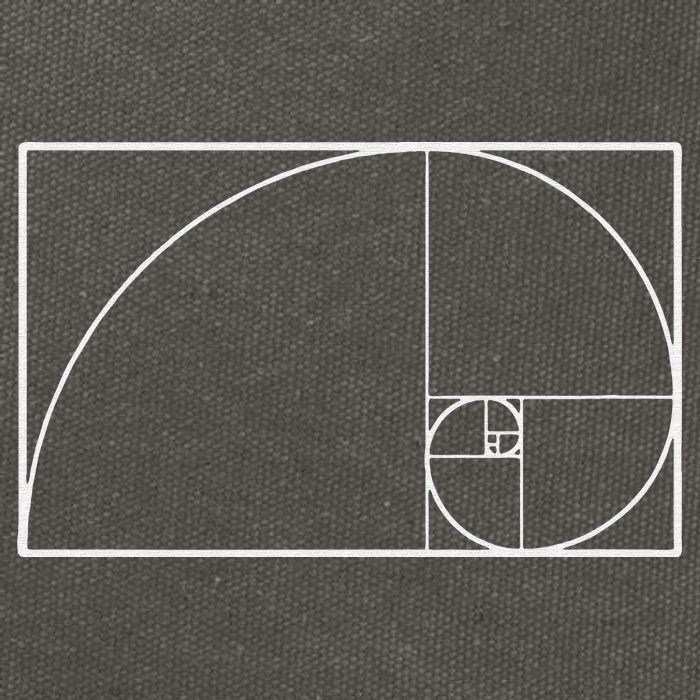 Cool Fibonacci Spiral Trendy Math Lover Science Cotton Canvas Backpack