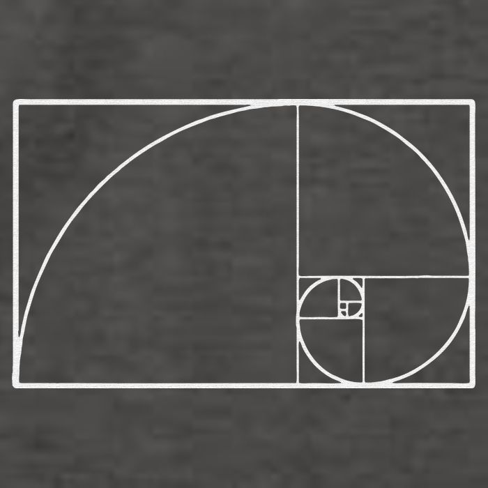 Cool Fibonacci Spiral Trendy Math Lover Science Vector Backpack