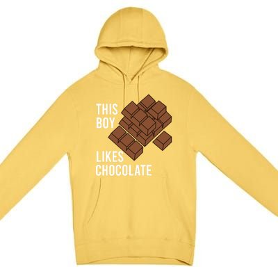 Chocolatier Funny Saying Likes Chocolate Cocoa Gift Premium Pullover Hoodie