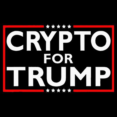 Crypto For Trump President Election 2024 Pro Cryptocurrency T-Shirt