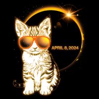 Cool Funny Total Solar Eclipse April 8 2024 Sunglasses Cat Kitten Cropped Pullover Crew