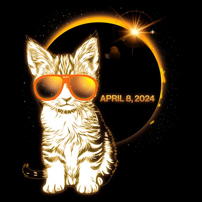 Cool Funny Total Solar Eclipse April 8 2024 Sunglasses Cat Kitten Cropped Pullover Crew