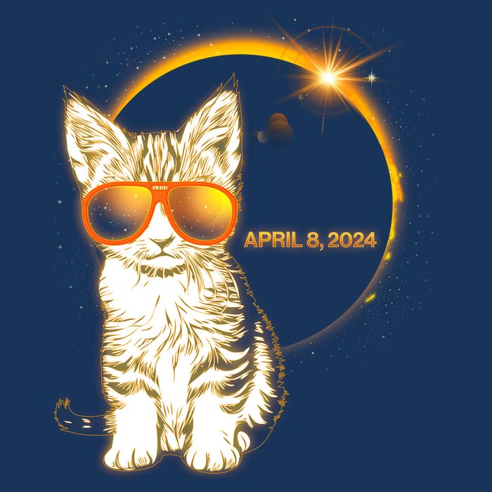 Cool Funny Total Solar Eclipse April 8 2024 Sunglasses Cat Kitten Mousepad