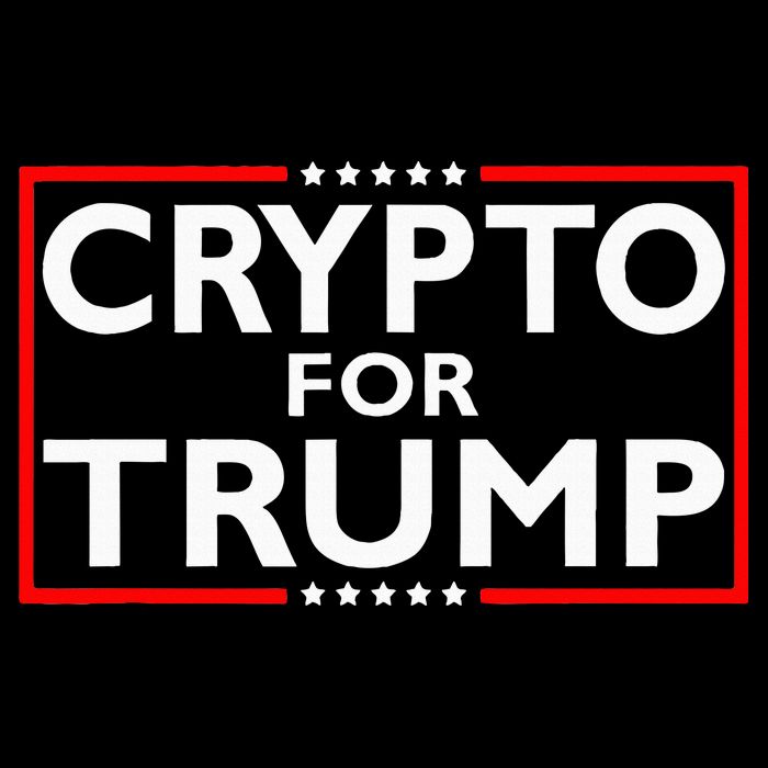 Crypto For Trump President Election 2024 Pro Cryptocurrency Hoodie