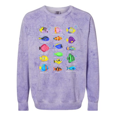 Cute Fishing Types Of Fishes Fish Water Species Gift Colorblast Crewneck Sweatshirt