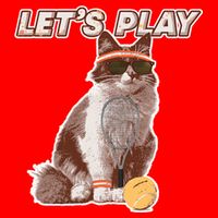 Cool Funny Tennis Cat Wearing Sunglasses Tennis Racket Ball 16 in Basic Backpack