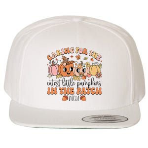 Caring For The Cutest Little Pumpkins In The Patch Nicu Fall Wool Snapback Cap