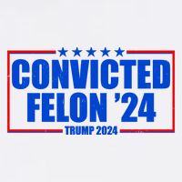 Convicted Felon Trump 2024 Vote Bring America Back Poster