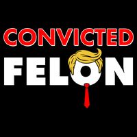 Convicted Felon Trump Performance Shirt