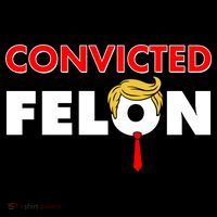 Convicted Felon Trump T-Shirt