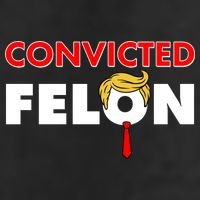 Convicted Felon Trump Adult Drive Performance Visor