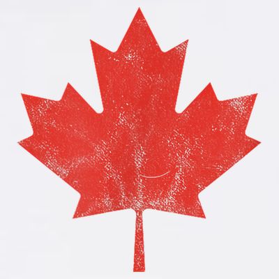 Canadian Flag Vintage Canada T-Shirt