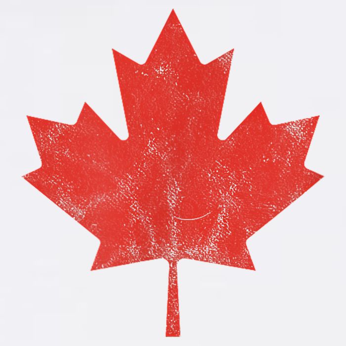 Canadian Flag Vintage Canada Toddler T-Shirt
