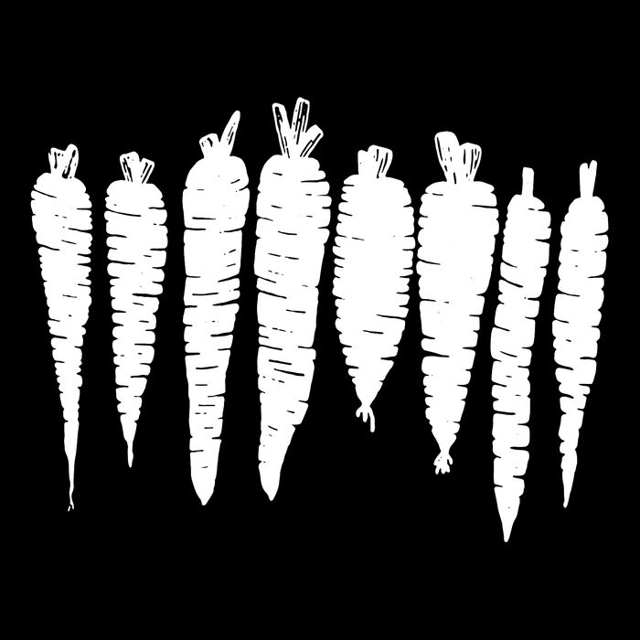 Carrot Food Vegetable Cropped Pullover Crew