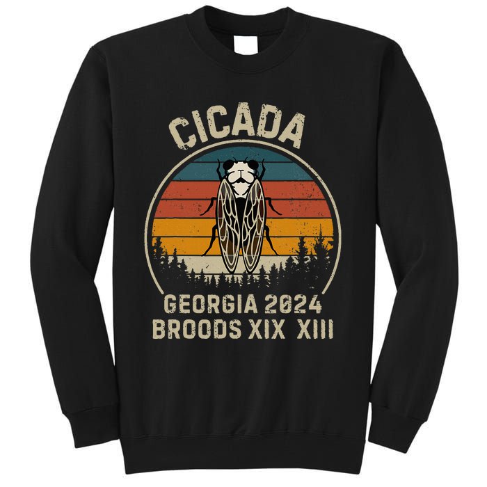 Cicada Georgia 2024 Invasion Brood Xiii And Brood Xix Tall Sweatshirt