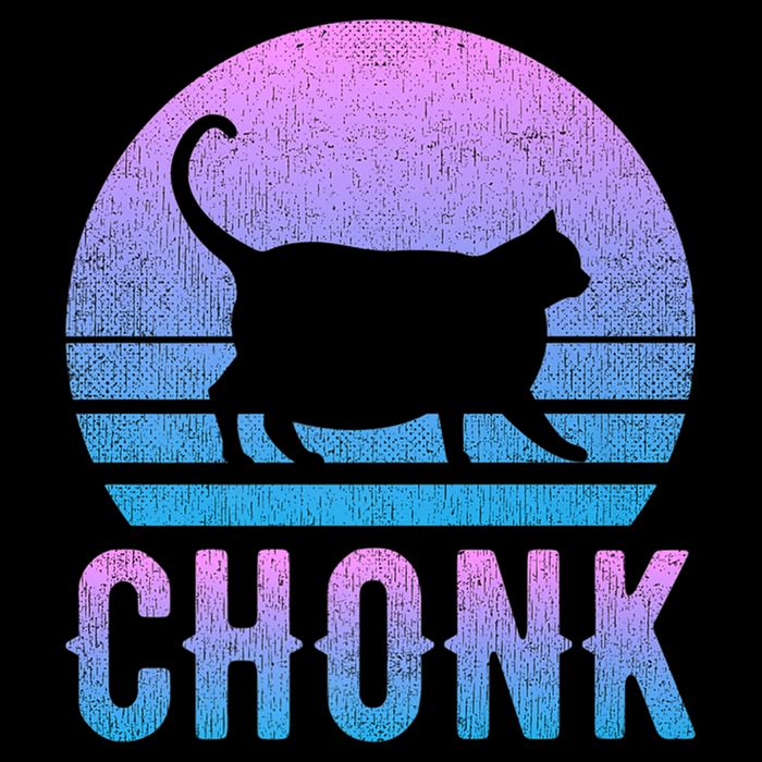 Chonk Gradient 90´S Funny Retro Fat Cat Meme 16 in Basic Backpack