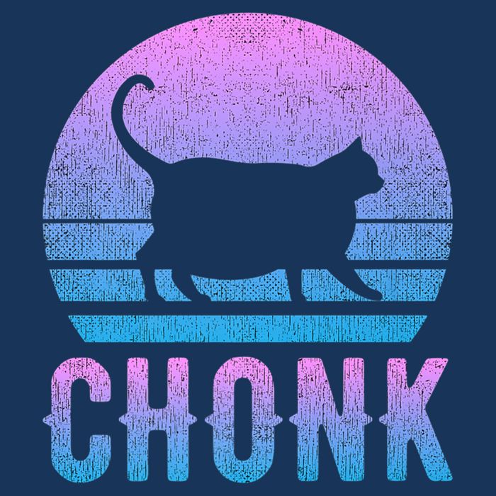 Chonk Gradient 90´S Funny Retro Fat Cat Meme Infant Baby Jersey Bodysuit
