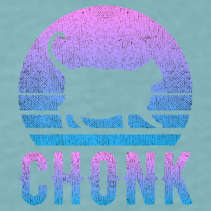 Chonk Gradient 90´S Funny Retro Fat Cat Meme Sueded Cloud Jersey T-Shirt