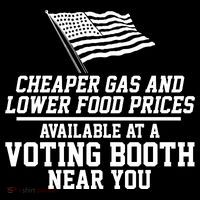 Cheaper Gas And Lower For Prices Available At A Voting Booth Near You Poster