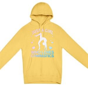 Cool Gymnastics Art For Girl Women Gymnastics Gymnast Gift Premium Pullover Hoodie