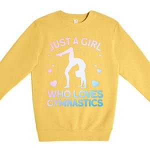 Cool Gymnastics Art For Girl Women Gymnastics Gymnast Gift Premium Crewneck Sweatshirt