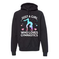 Cool Gymnastics Art Gymnastics Gymnast Coach Premium Hoodie