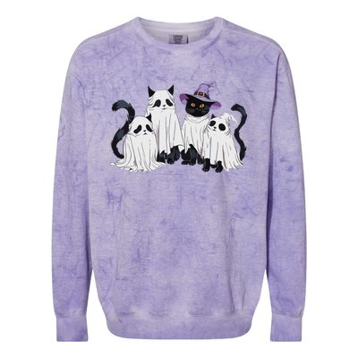 Cute Ghost Cats Halloween Outfit Costumes Black Cats Funny Colorblast Crewneck Sweatshirt