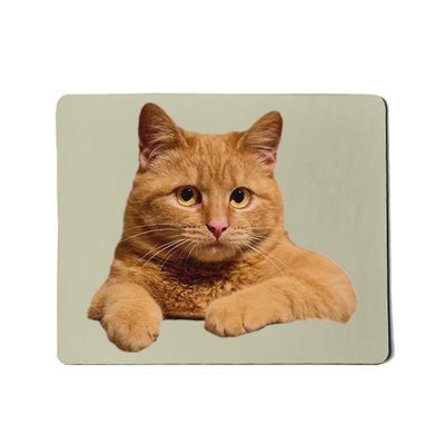 Chill Ginger Cat Realistic Kitty Face Graphic Mousepad