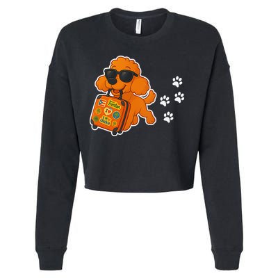 Chase Gift Cropped Pullover Crew