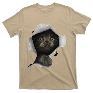 Cat Gray Cat Cat Torn Cloth Kitten T-Shirt