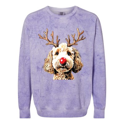 Christmas Goldendoodle Christmas Dog Colorblast Crewneck Sweatshirt