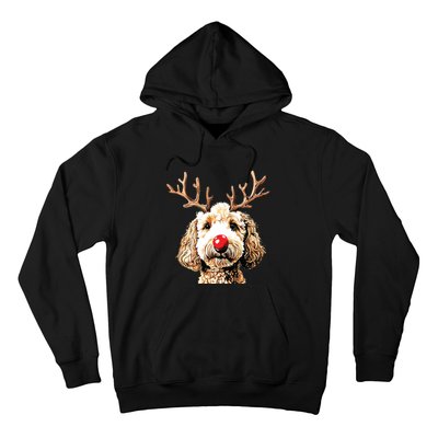 Christmas Goldendoodle Christmas Dog Hoodie