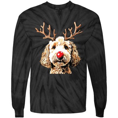 Christmas Goldendoodle Christmas Dog Tie-Dye Long Sleeve Shirt