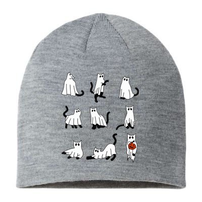 Cute Ghost Cat Funny Halloween Outfit Costumes Sustainable Beanie