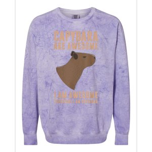 Capybara Gifts Capybara Are Awesome Cute And Lovely Animal Colorblast Crewneck Sweatshirt