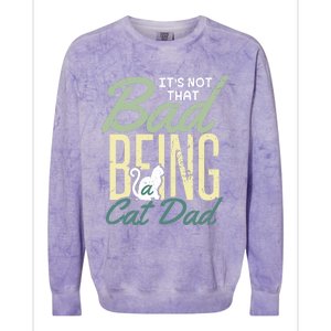 Cat Grandpa Cat Father Its Not That Bad Being A Cat Dad Funny Gift Colorblast Crewneck Sweatshirt