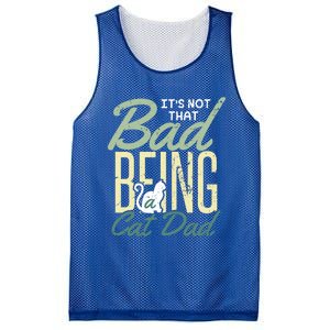 Cat Grandpa Cat Father Its Not That Bad Being A Cat Dad Funny Gift Mesh Reversible Basketball Jersey Tank