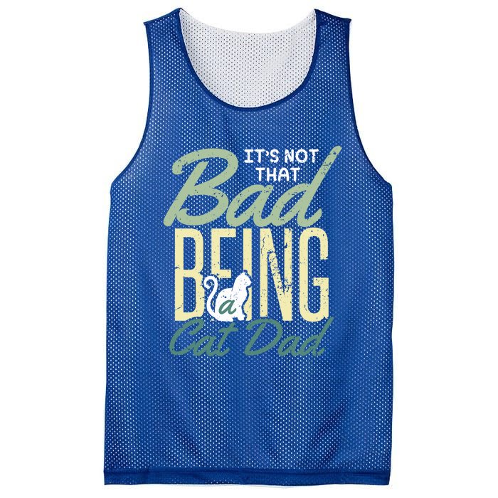 Cat Grandpa Cat Father Its Not That Bad Being A Cat Dad Funny Gift Mesh Reversible Basketball Jersey Tank