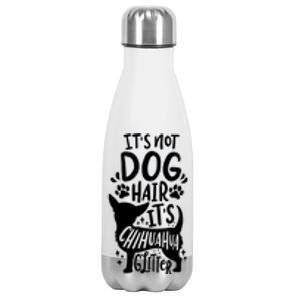 Chihuahua Gift Stainless Steel Insulated Water Bottle